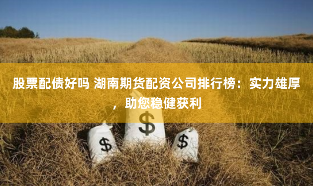 股票配债好吗 湖南期货配资公司排行榜：实力雄厚，助您稳健获利