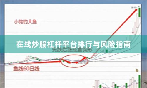 在线炒股杠杆平台排行与风险指南