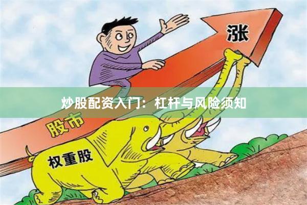 炒股配资入门：杠杆与风险须知
